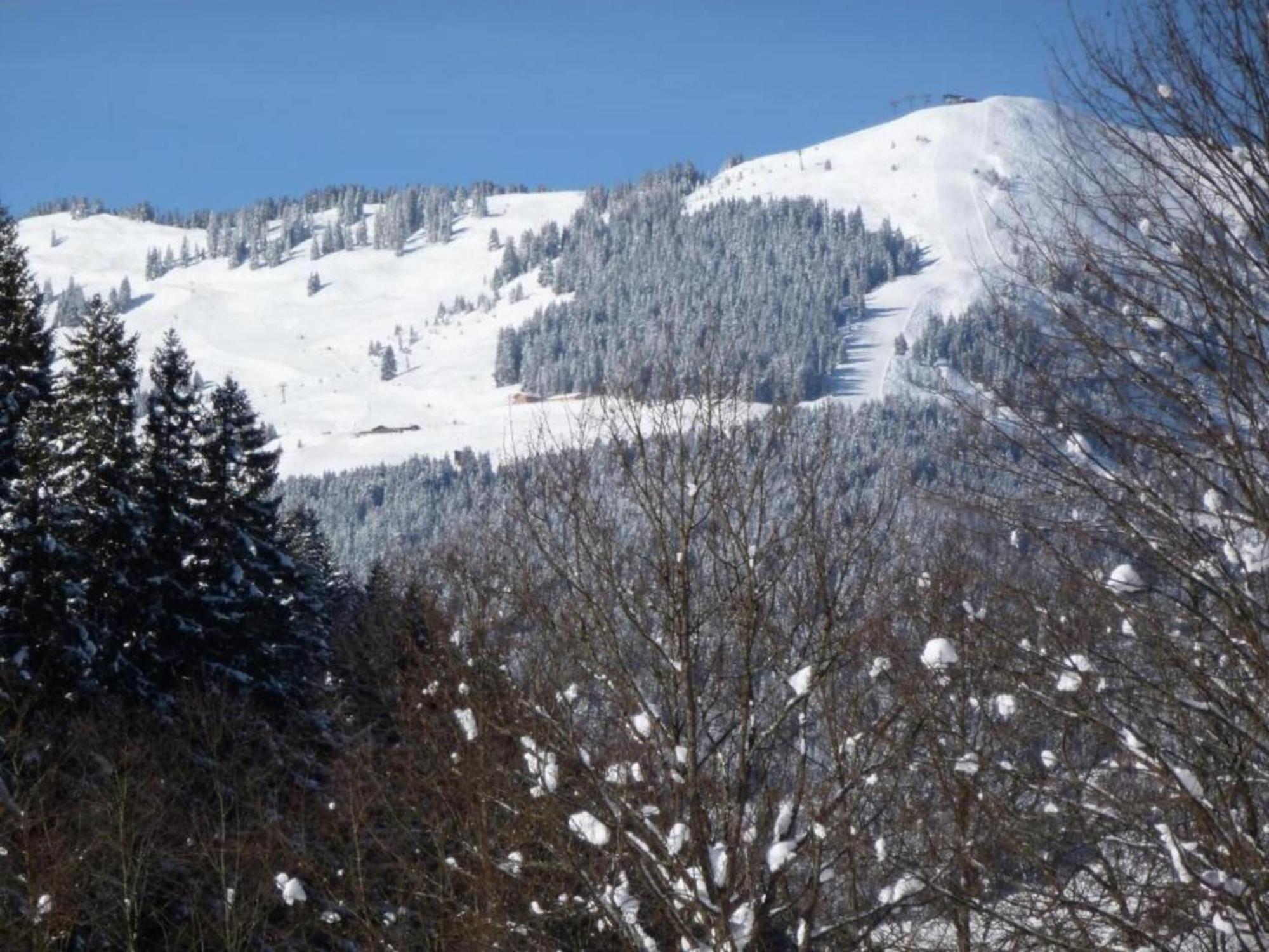 Apartment Appealing In Salzburg Near The Area Saalbach-Hinterglemm